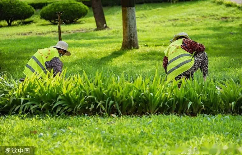 苹果会在5g万物互联尴尬吗 苹果会在5g万物互联尴尬吗