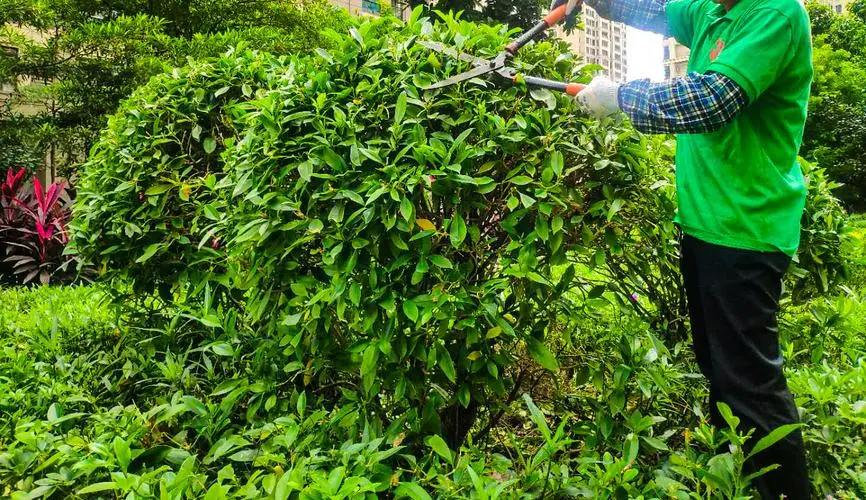 聊城智慧城市管理服务平台